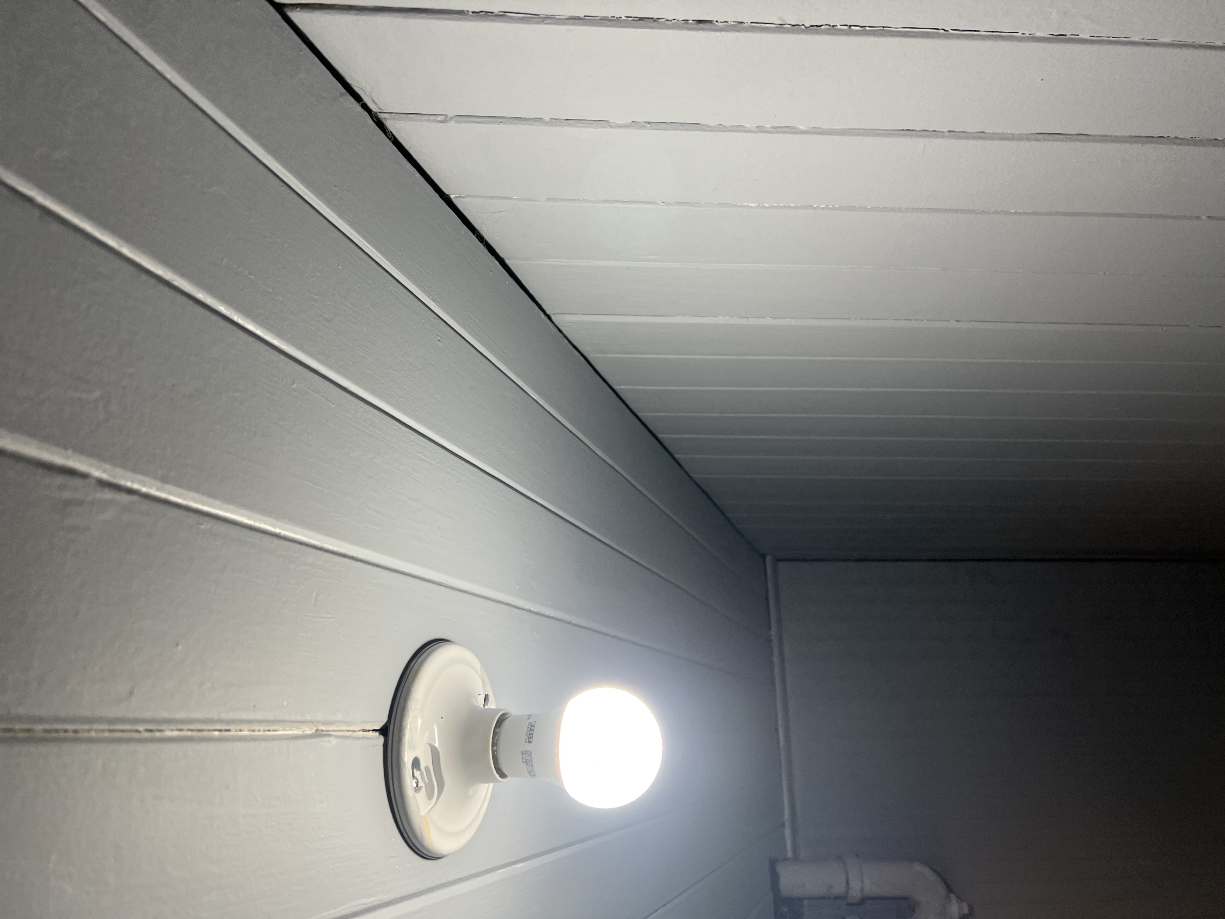 dimly lit white ceiling   around bare lightbulb